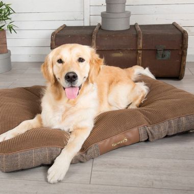 DOG BEDS