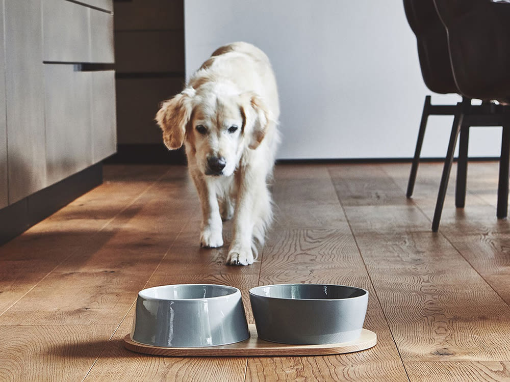 DOG BOWLS