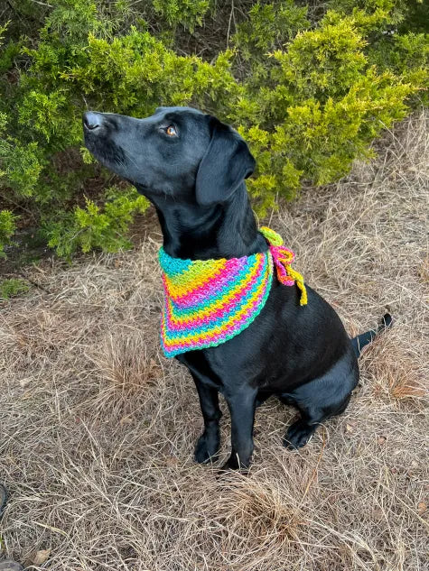 BANDANA'S