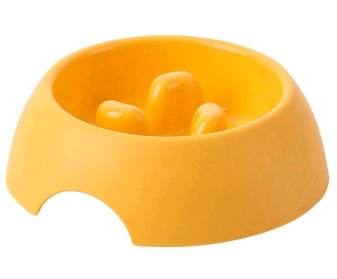Slow feeder Bowl