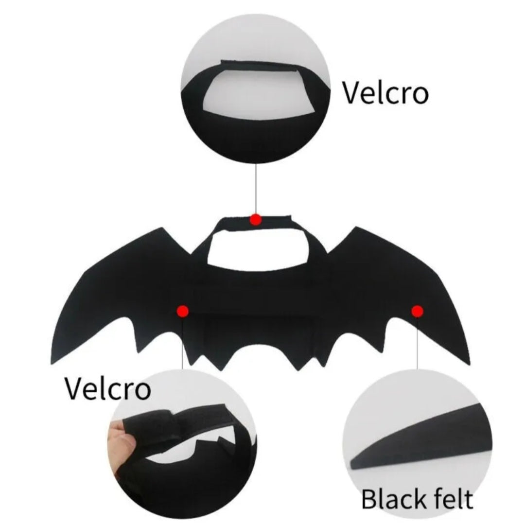 Bat wings