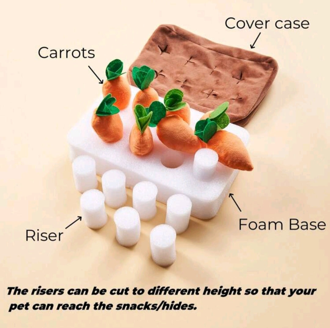 Interactive Toy / Puzzle