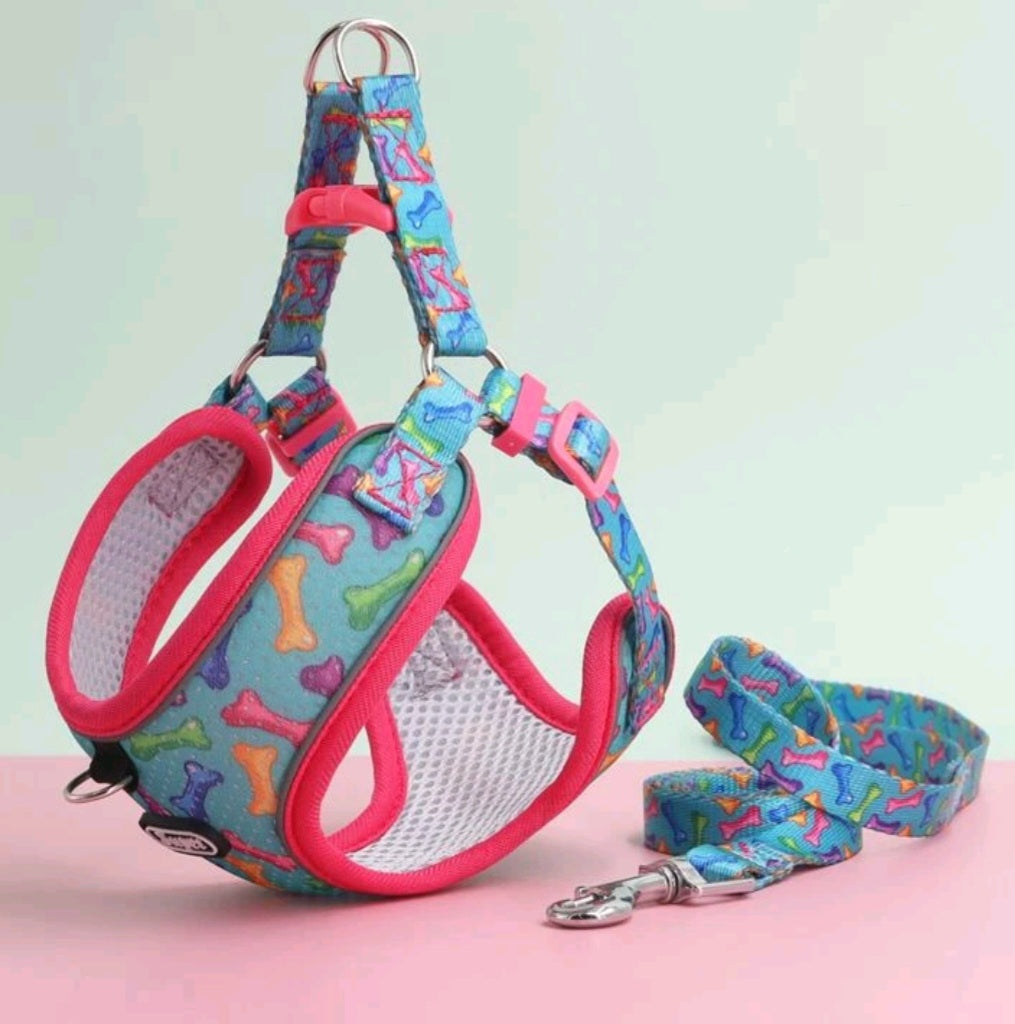 Bone print harness and lead set