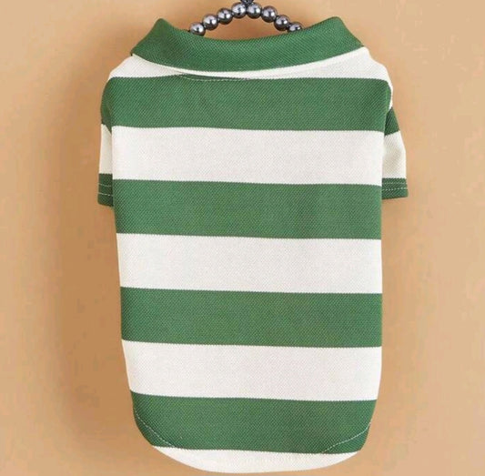 Stripped polo top