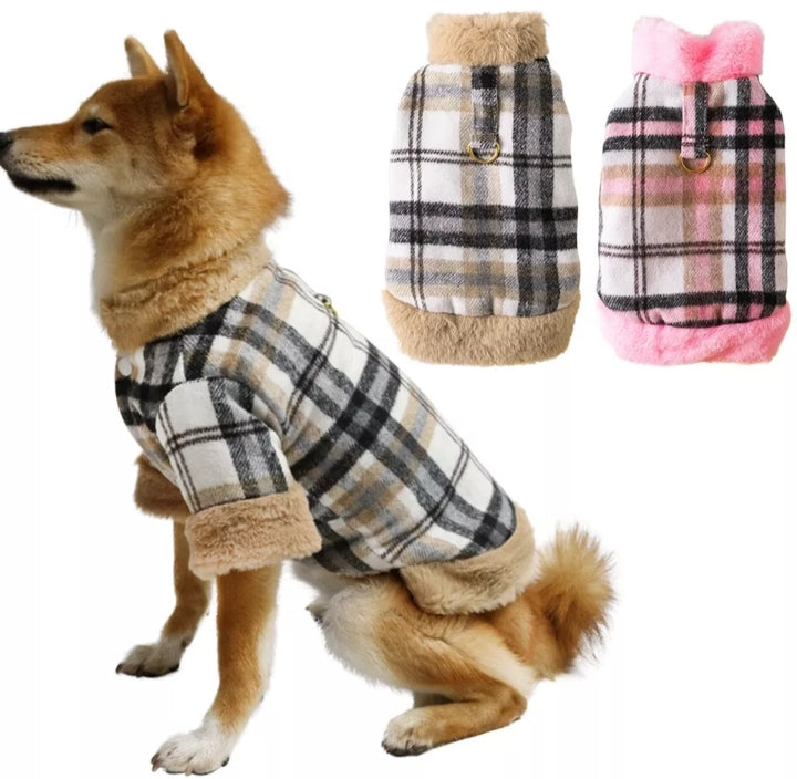 Lattice coats
