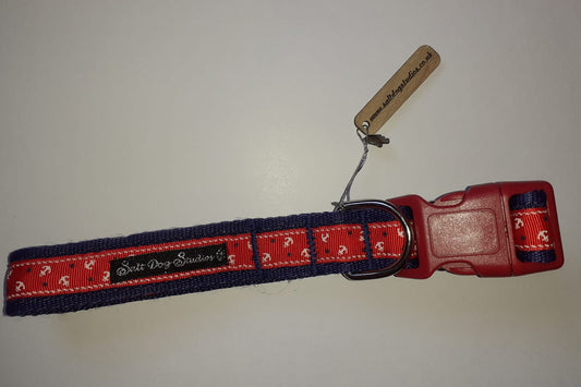 Salt dog blue and red collar