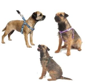 Ancol Camouflage Harnesses