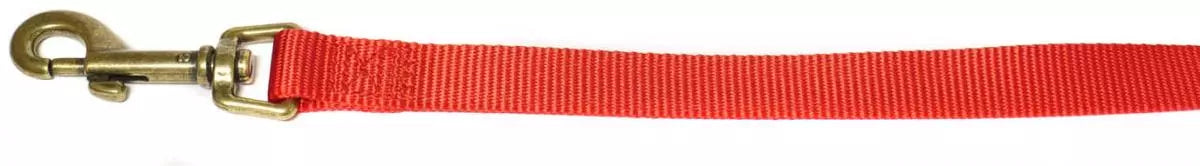 Ancol Red Nylon Collar & Lead Set