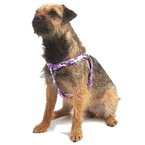 Ancol Camouflage Harnesses