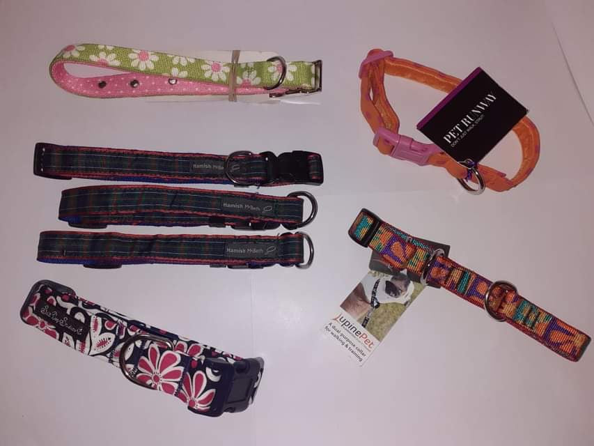 DOG COLLARS