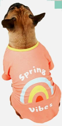 Spring Vibes T Shirt