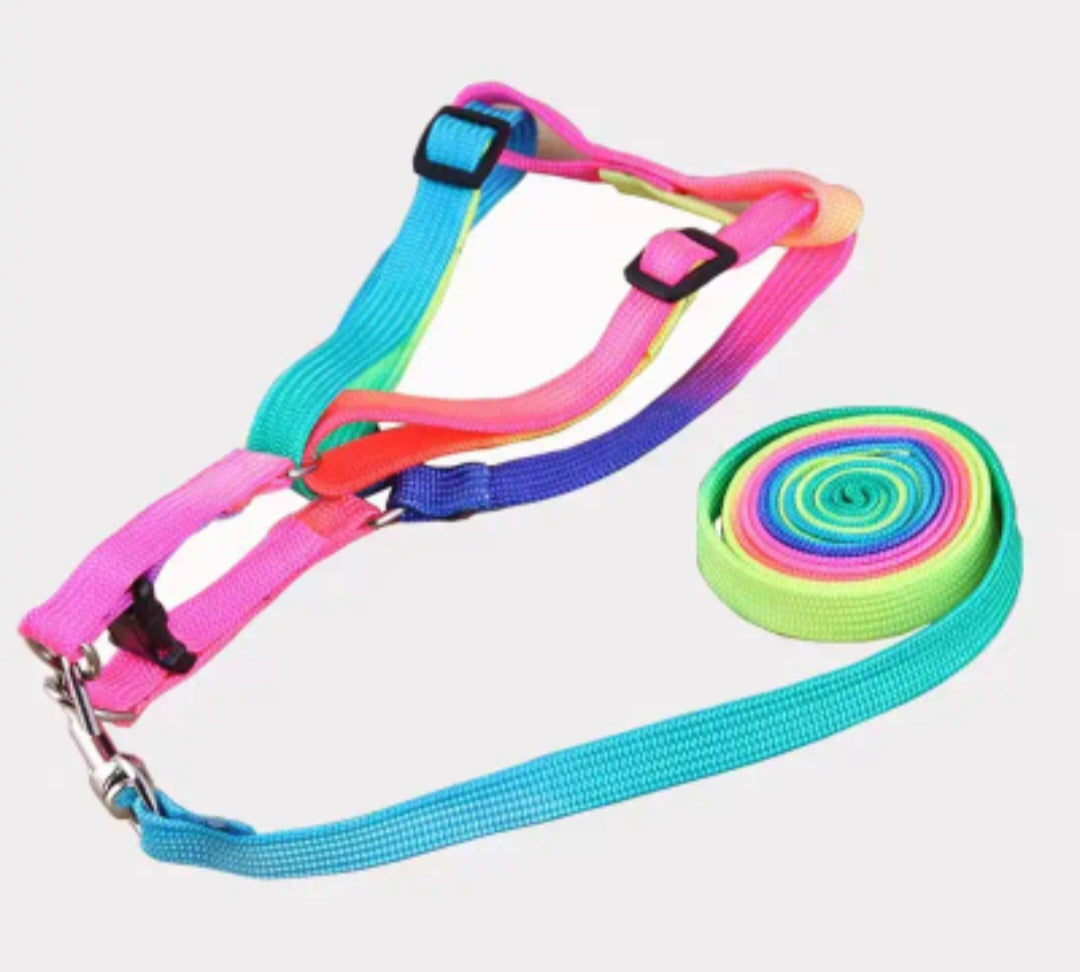 Multicolour Harness & Lead Set