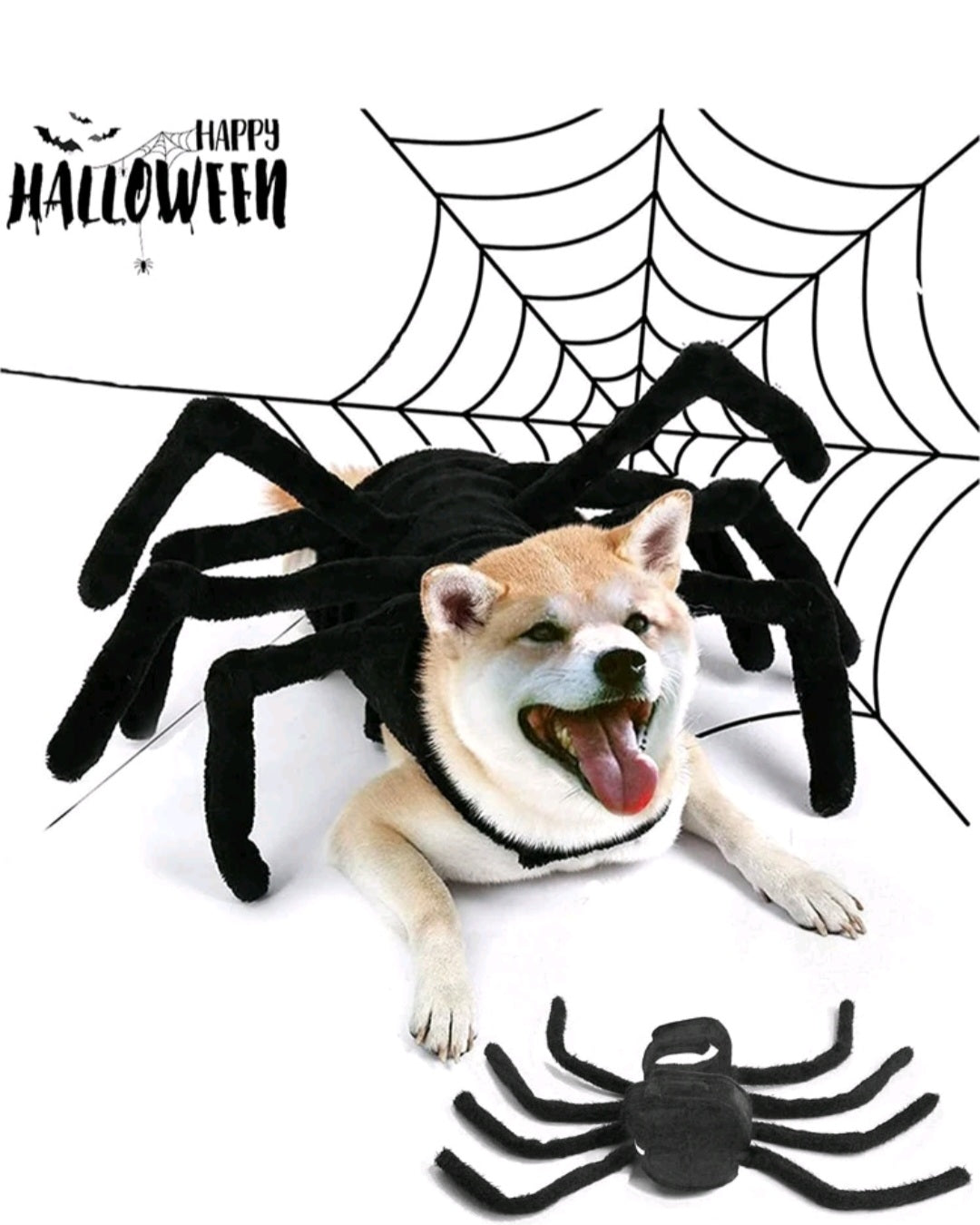 Cute Spider Costume