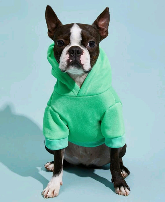 Green Hoodie