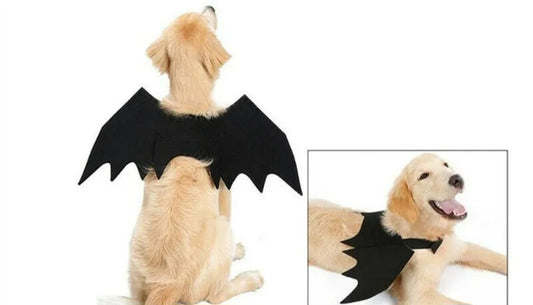 Bat wings