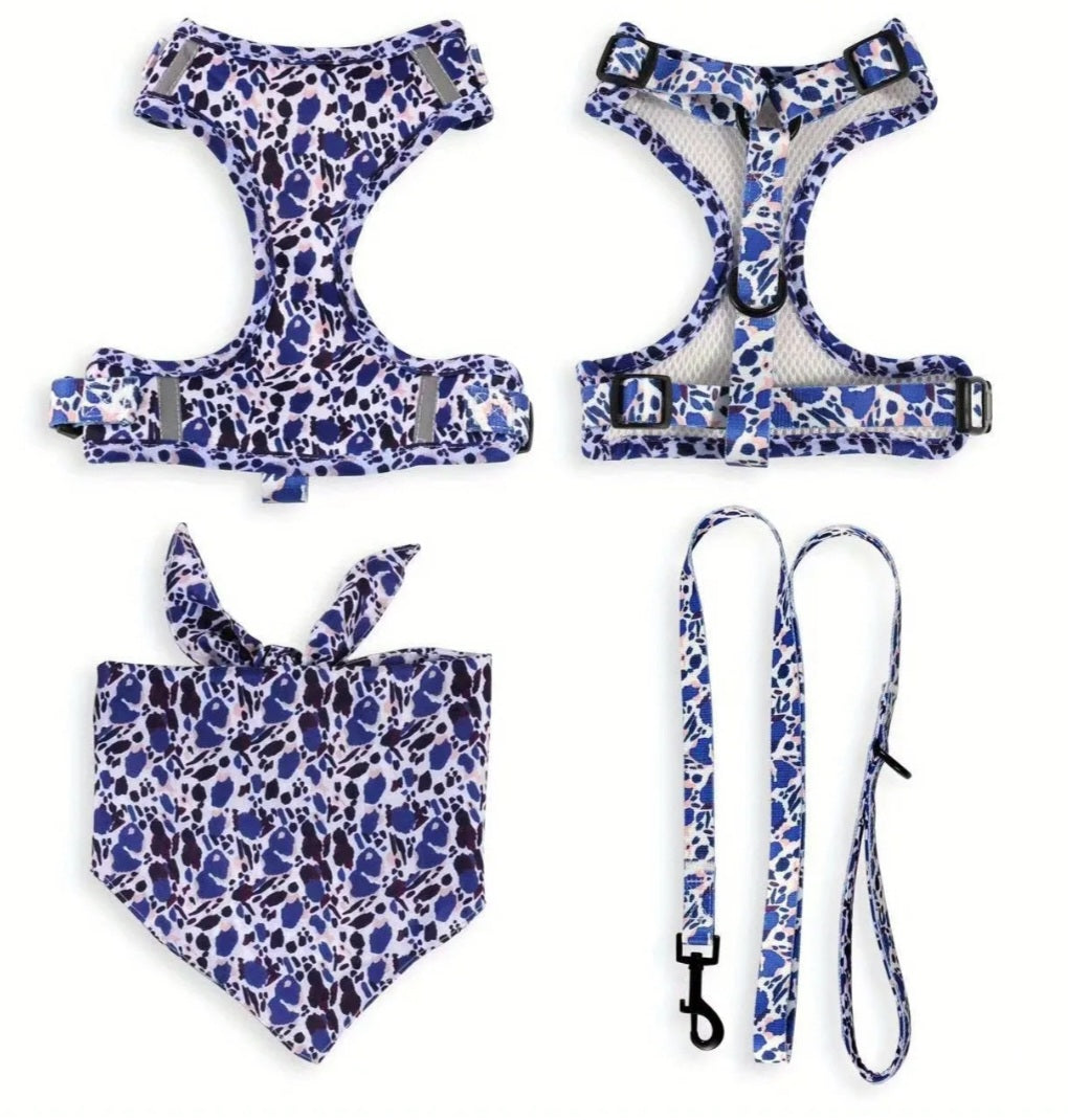 Purple / Blue 3 piece Harness set