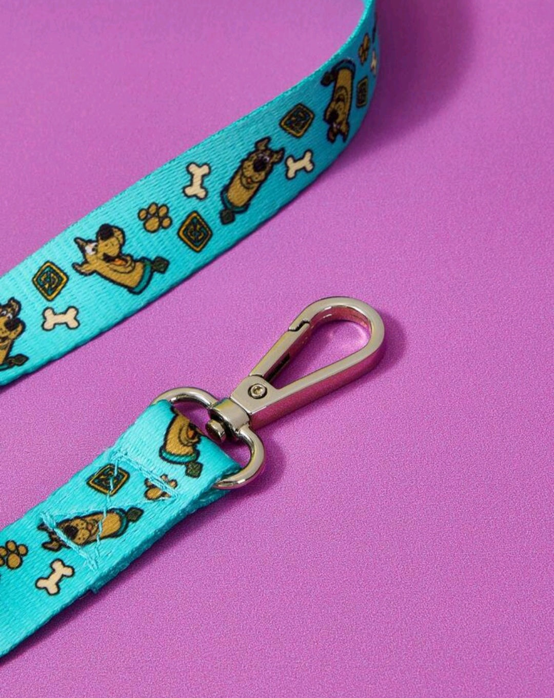 Scooby doo Collar & Lead set