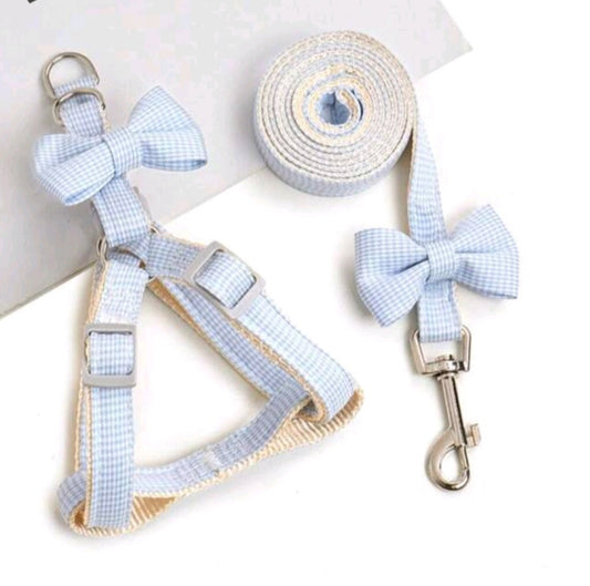 Blue harness & Lead Set