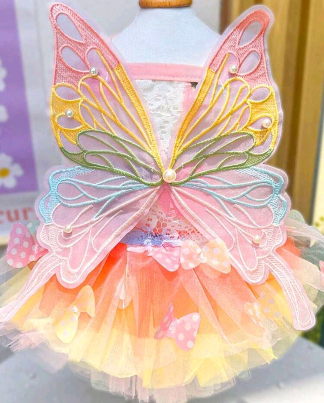 Butterfly dress