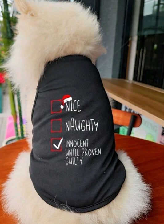 Christmas Vest