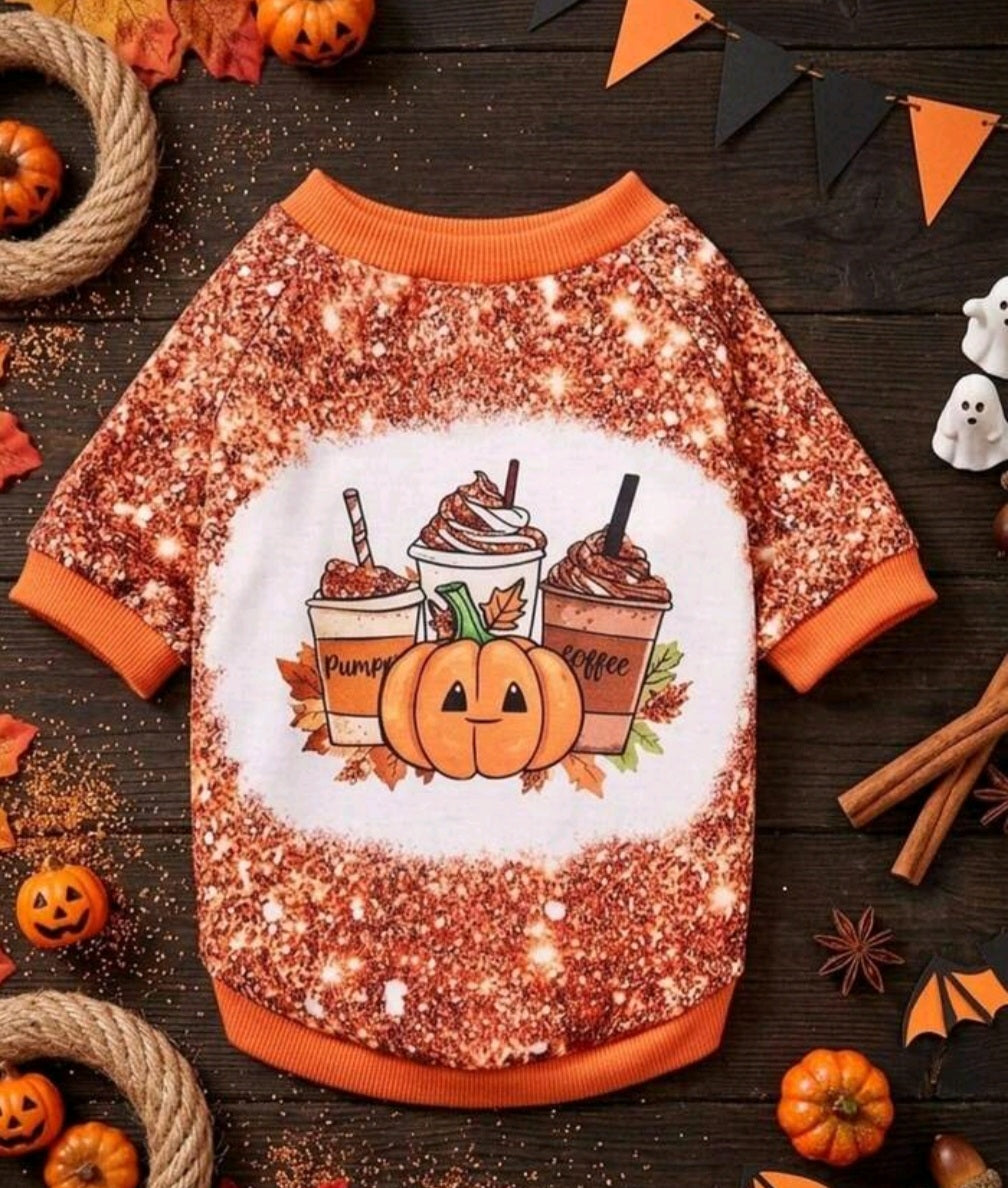 Pumpkin jumper