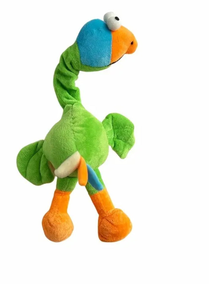 Colourful bird