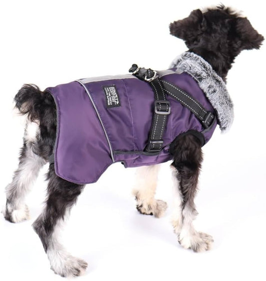 Purple Winter waterproof coat