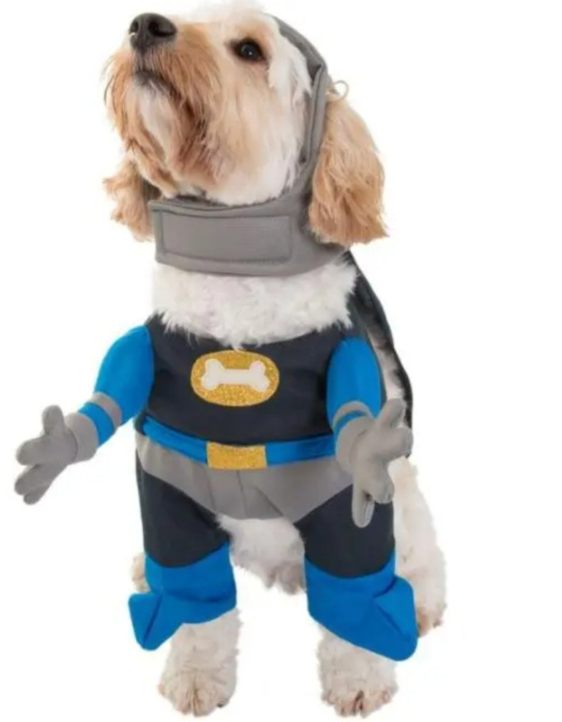 Superhero Bat dog