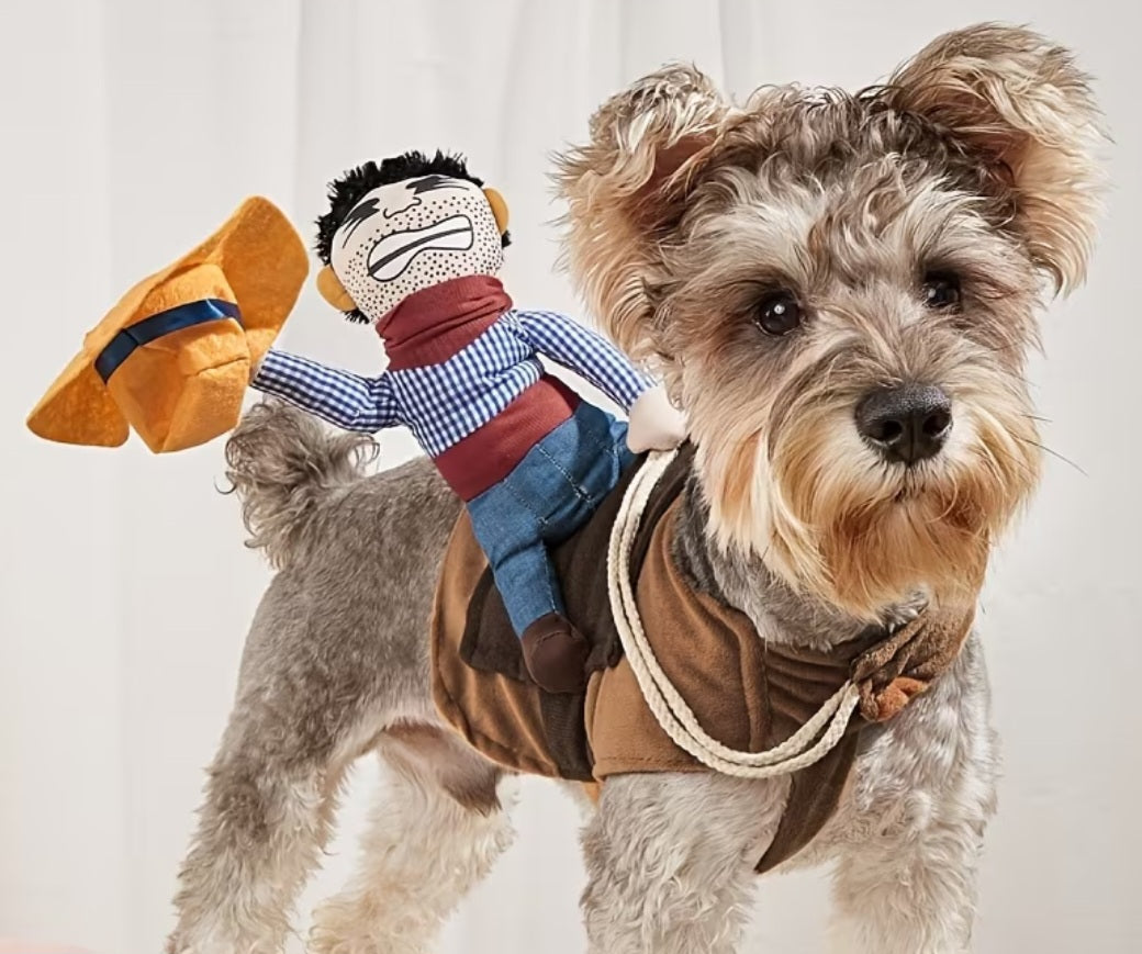 Ride on cowboy costume