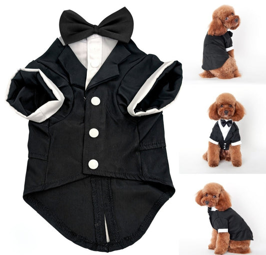 Dog Tuxedo