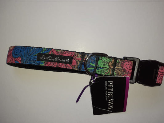 Colorful Clip on Dog Collar