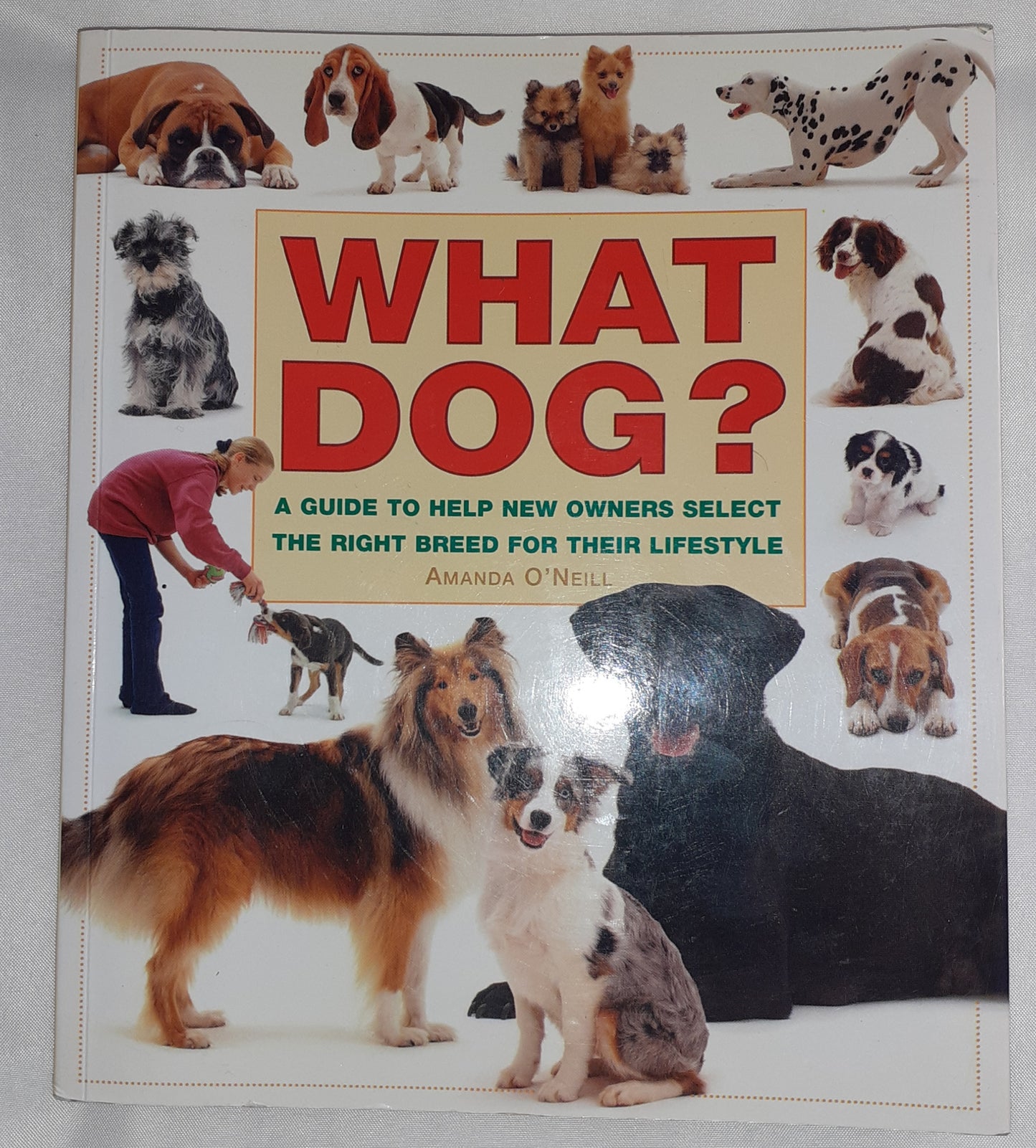 Dog book