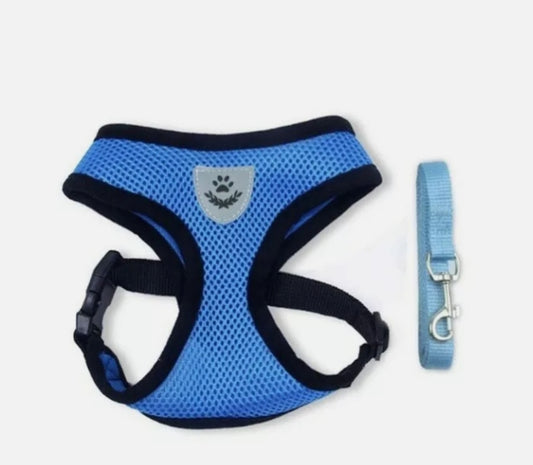 Blue harness and lead set for cat / dog