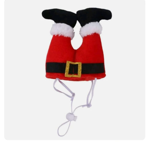 Dog Santa Hat