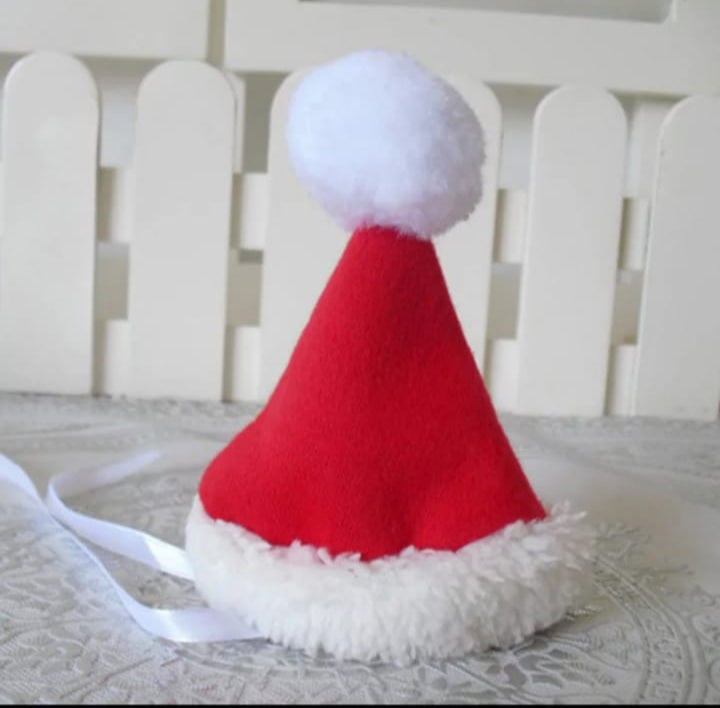 Dog Santa Claus Costume with hat