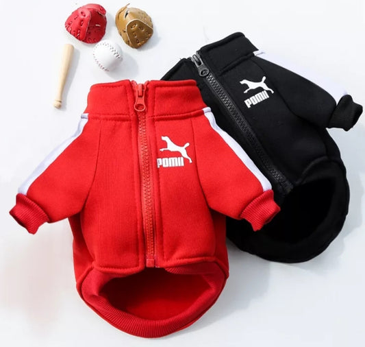 Inspired Dog jacket