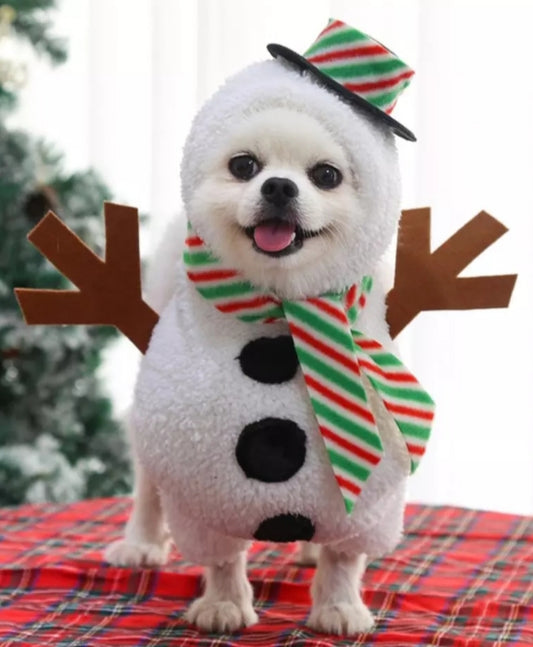 Snowman Dog Costume