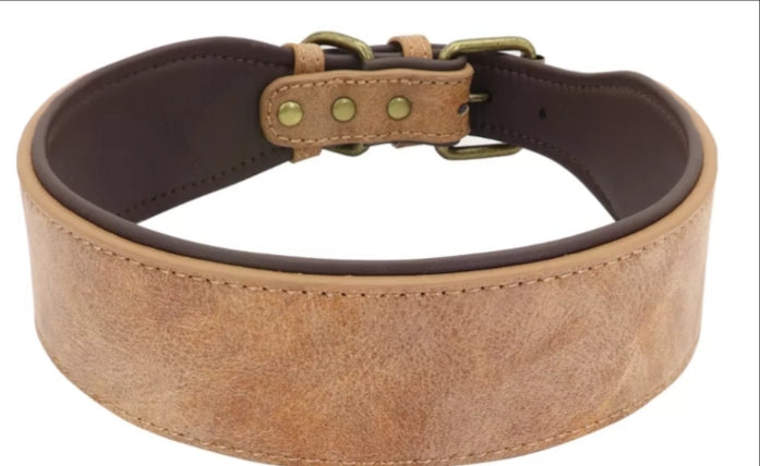 Leather Dog collar