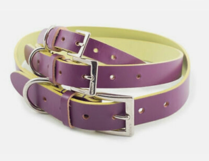 Ancol Indulgence Collar & Lead Set