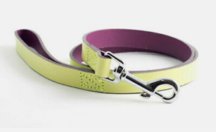 Ancol Indulgence Collar & Lead Set