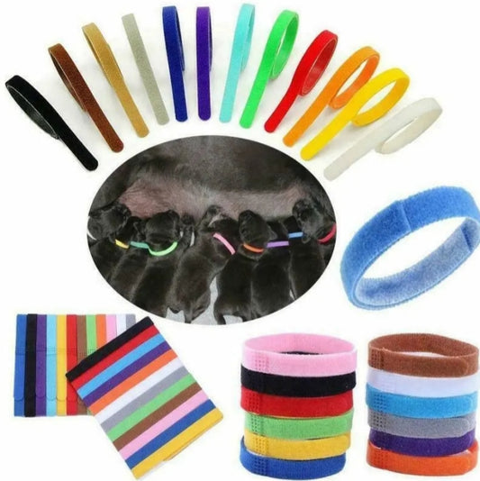 Pet ID collars