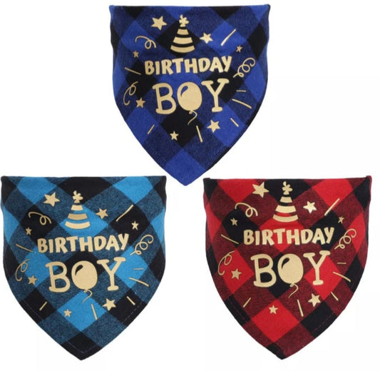 Birthday Boy Bandana's