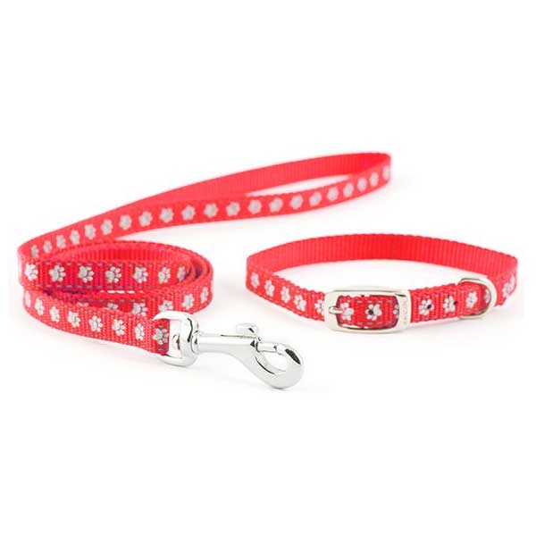 Ancol Collar & Lead set