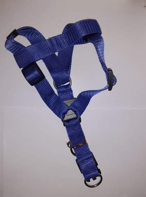 Blue Clip On Harness For Dogs