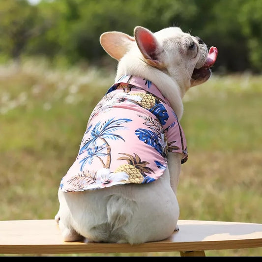 Cute Dog Beach shirt
