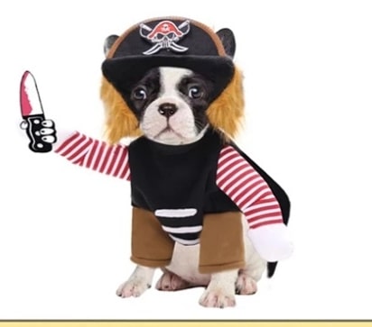 Dog Pirate costume