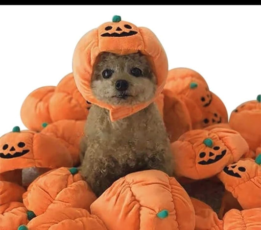 Pumpkin hat for Dogs