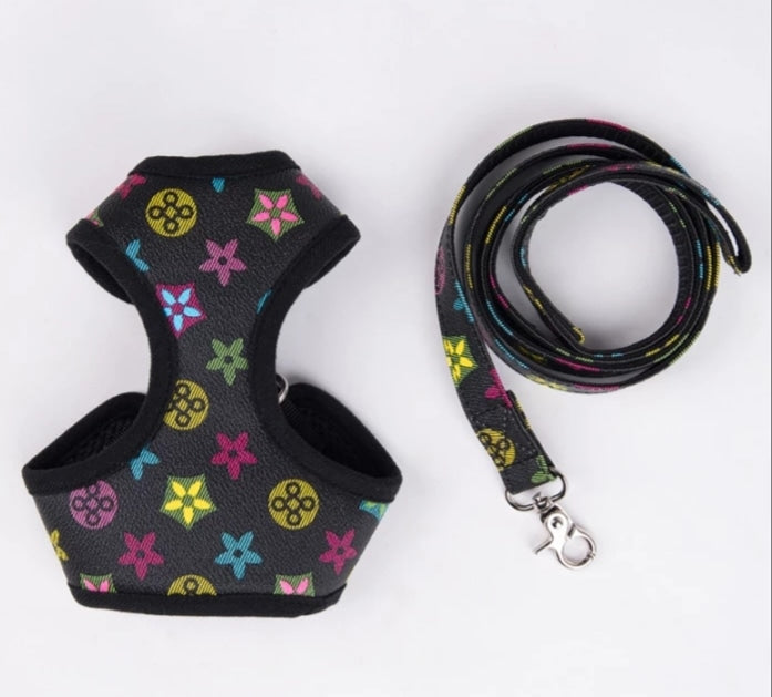 Inspired Dog harness set