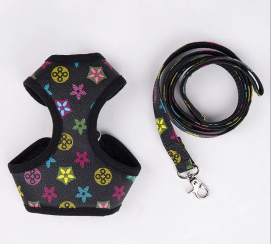 Inspired Dog harness set