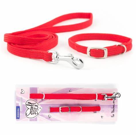 Pink Ancol Collar & Lead set